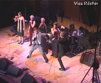 Visa R&ouml;ster International Karate photo